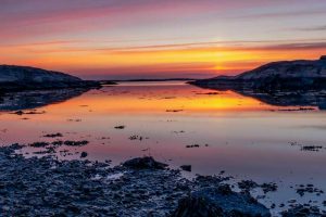 hvaler og fjorden i Fredrikstad